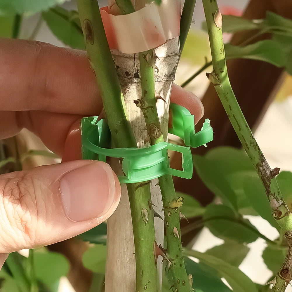 Plant Support Clips Reusable Garden Clips for Support Tomato Grape Vines Fruits Vegetable Plants Grafting Fixing Garden Tools