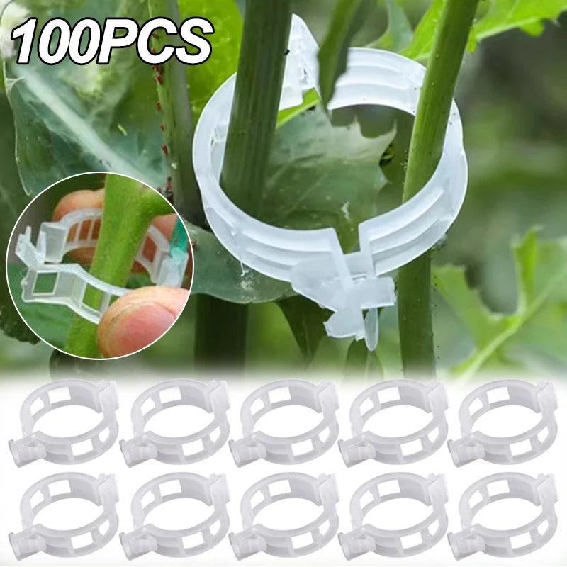 Plant Support Clips Reusable Garden Clips for Support Tomato Grape Vines Fruits Vegetable Plants Grafting Fixing Garden Tools