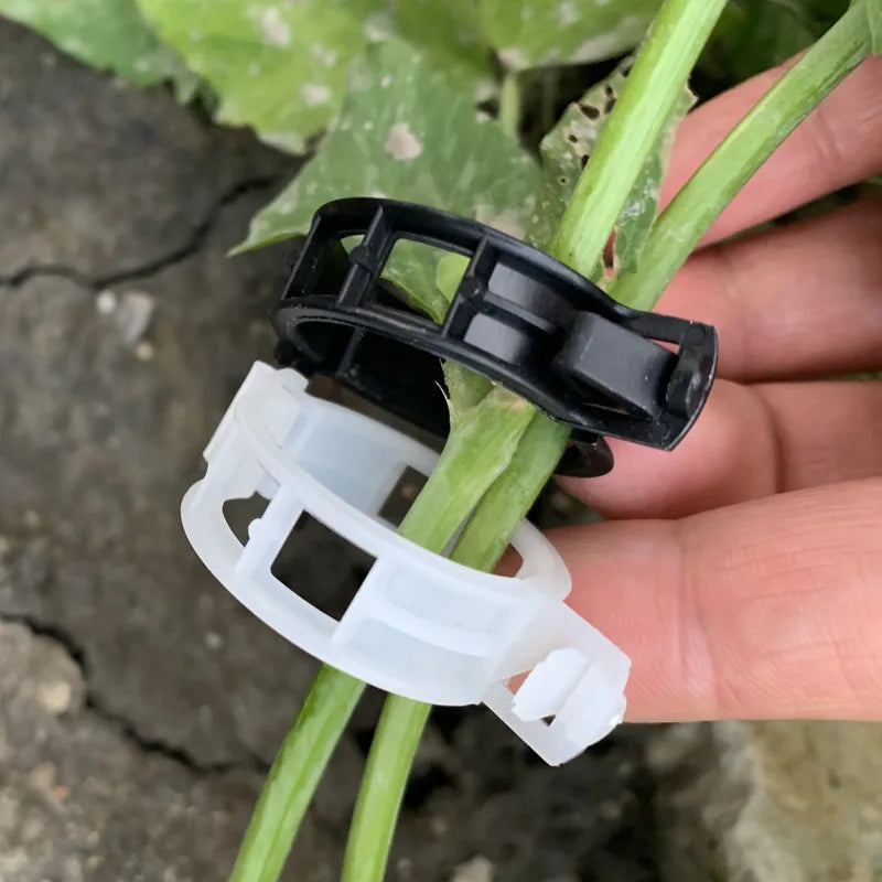 Plant Support Clips Reusable Garden Clips for Support Tomato Grape Vines Fruits Vegetable Plants Grafting Fixing Garden Tools