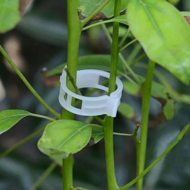 Plant Support Clips Reusable Garden Clips for Support Tomato Grape Vines Fruits Vegetable Plants Grafting Fixing Garden Tools