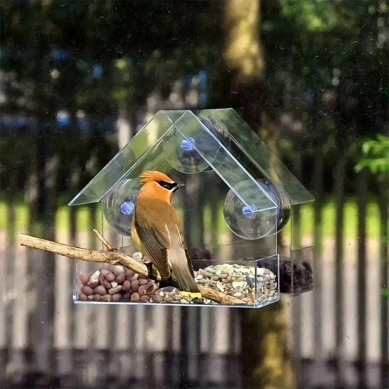 Acrylic Bird Feeder Clear Window Outside Hanging Bird Feeder House with Suction Cup for Garden Outdoor Backyard Wildlife Birding