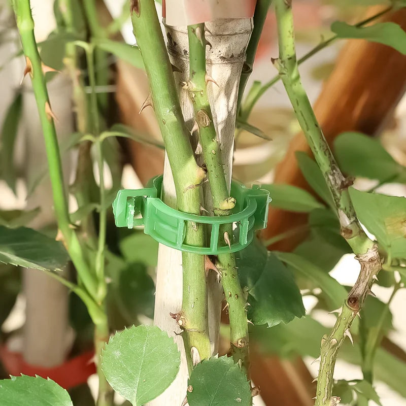 Plant Support Clips Reusable Garden Clips for Support Tomato Grape Vines Fruits Vegetable Plants Grafting Fixing Garden Tools