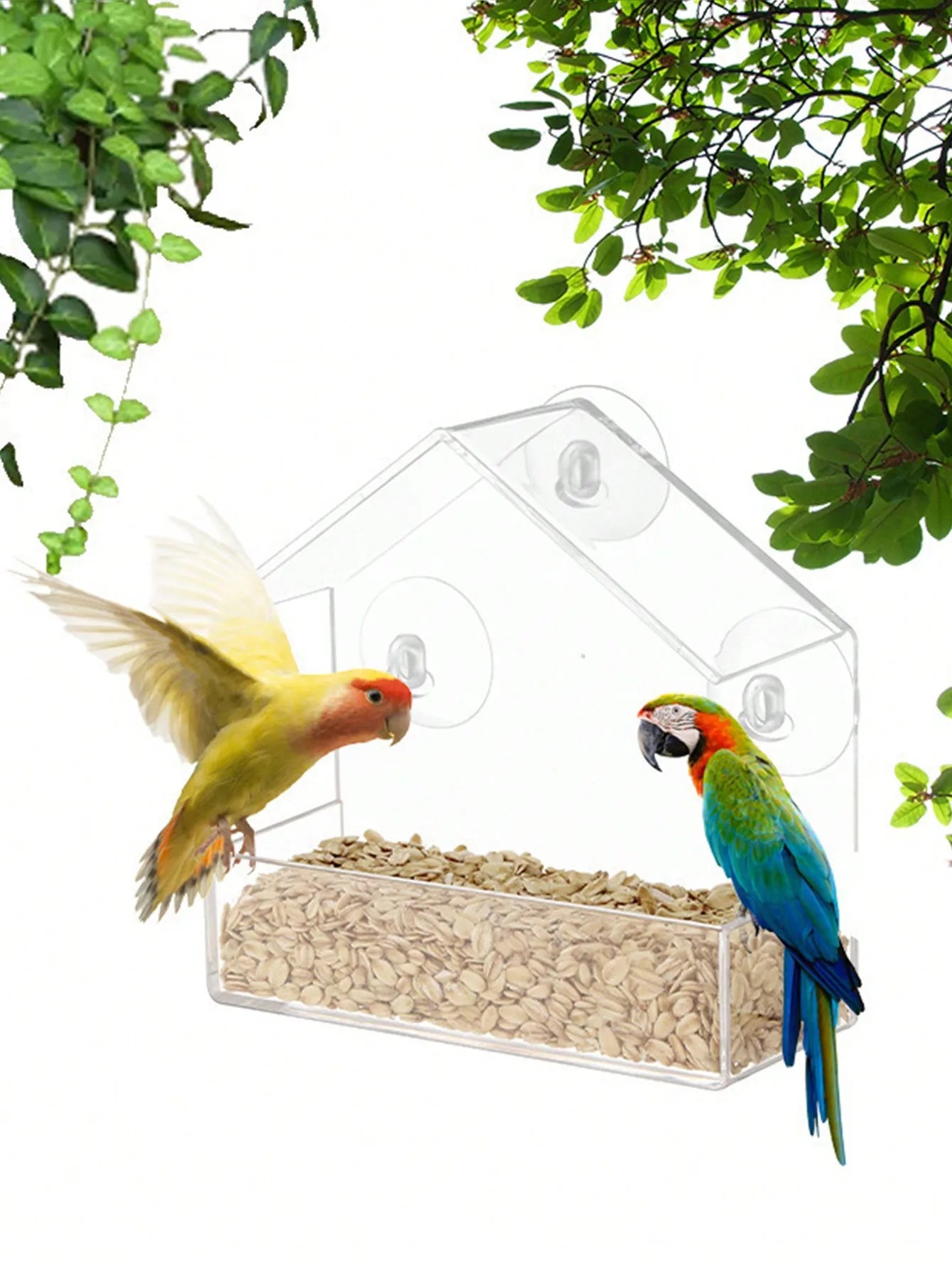 Acrylic Bird Feeder Clear Window Outside Hanging Bird Feeder House with Suction Cup for Garden Outdoor Backyard Wildlife Birding